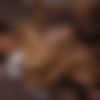 [DigitalPlayground.com] Kiki Minaj (At Your Service / 19.10.2015) [Amateur, Anal, Work Fantasies, Blowjob, Deep Throat, Pussy Licking, Facial, Ebony, Masturbation, Voyeur, 720p, HDRip] thumb
