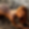 [photodromm.com] photodromm.com 2018-10 [Big Tits, Solo, Posing, Glamour, Softcore] [2000x3000, 686 , 15 ] thumbnail