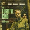 The Fugitive Kind 1960 1080p BluRay x264-OFT thumb
