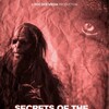 Secrets of the Sasquatch [2022] / H264 / MKV / WEB / 1080p / AC3 / Subs / fiend thumb