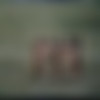 A Pelada do Sexo /   (Mario Lucio, Wood Filmes) [1985 ., Feature, Classic, VHSRip] (Adriana, Danubia Alcântara, Michele Amabidey, Rosari Graziosi, Sheila Santos, Flavia Sanches, Camila Back, Marcello Long, Ron Reagan, Amilton) thumbnail