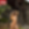 [photodromm.com] photodromm.com 2017-12 [Big Tits, Solo, Posing, Glamour, Softcore] [2000x3000, 733 , 16 ] thumbnail