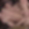 [Staxus.com] Staxus Classic: Bareback Street Gang- Scenes 3 & 4 - Remastered in HD / 4286 (Stephan Santana, David Owen) [2017 ., Blowjob, 69, Anal, Bareback, Masturbation, Kissing, Cumshot, Cum In Ass, Twinks, Uncut, 720p] thumb