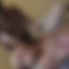 [Timfuck.com] Broc and Ashton Ducati (Broc,Ashton Ducati) [2015 ., Anal Sex, Bareback, Blowjob, Cumshot, Interracial, Muscles, Black, Big Cock, Tattoos, 720p] thumb