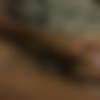 [Onlyfans.com] Ava (@avarexha) - 78 Video [2020., Shemale, Solo, Masturbation, Black, Dildo, Blowjob, Shemale On Male, Interracial, Male On Shemale, Dildo, Fingering, Big Dick, Bareback, Cumshot, CamRip] thumb