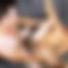 [SeanCody.com] SC-2482 Archie & Kaleb: Bareback [2018 ., Anal Sex, Bareback, Blowjob, Cumshots, Deep Throat, Hairy, Kissing, Masturbation, Muscles, Uncut., 720p] thumb