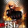 Fist 2 Fist 2011 720p PLEX WEB-DL AAC 2 0 H 264-PiRaTeS thumb