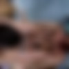 [RandyBlue.com] Jimmy & Roman (Jimmy Fanz & Roman Todd) [2013 ., Anal, Big Dick, Blowjob, Cumshots, Hardcore, Kissing, Masturbation, Hairy, Rimming, Tattoos, 720p] thumb