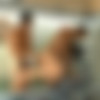 [DominicFord.com] (540) Fire Island: Meatrack - Valentin Petrov & Marcus Ruhl [2013 ., Anal Sex, Big Dick, Blowjob, Cumshots, Hairy, Kissing, Muscles, Masturbation, Outdoors, Rimming, Tattoos. Uncut., 720p] thumb