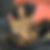 [SheMaleStrokers.com / TransationalFantasies.com] Pamela / Ts Pamela Remastered [2019 ., Shemale, Solo, 1080p, SiteRip] thumbnail