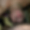 [2015 ., Amateur, Blowjob, Deep Throat, 720p, CamRip] thumb