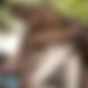 [Staxus.com] The Big Picture Scene#4: Sunbathing Black Dude Gives Horny White Twink A Raw Fuck! (Hector Agusti, Xavier Sibley) [2015 ., Anal/Oral, Big Dick, ..., Interracial, ..., Outdoors, Piercing, Rimming, Tattoos, Twink, Uncut., 720p] thumb