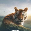 Asia 2024 S01 2160p iP Hybrid WEB-DL DV HLG H 265 DTS-HD MA 5 1-ATTABORO thumb