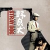 Stray Dog  1949 2160p UHD BluRay REMUX HEVC FLAC 1 0-CiNEPHiLES thumb