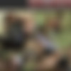 Clubdom.com (former RuthlessVixen.com) Refurbished, Updated, Extended (3332 clips) in H265! thumbnail