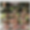 [Staxus.com] Army Dropouts, Sc.1: Flip-Flopping Army Boys Relish An Outdoor Fuck With Oodles Of Spunk! / 4172 (Jacob Waterhouse, Titus Snow) [2016 ., Outdoor, Army, Anal, Rimming, Bareback, Flip Flop, Blowjob, Uniform, Twinks, 720p] thumb