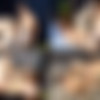 [SeanCody.com] SC-2537 Archie & Sean: Bareback [2019 ., Anal Sex, Bareback, Big Dick, Blowjob, Cumshots, Hairy, Kissing, Masturbation, Muscles, Tattoos., 720p] thumb