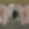 [LethalHardcoreVR.com] Ruby Moon - Ruby Moon Needs Her Ass Spanked [30.06.2025, Blowjob, Brunette, Cum On Face, Cumshot, Doggy Style, Facial, Hairy Pussy, Missionary, Natural Tits, POV, Sitting, Small Tits, Standing, Virtual Reality, SideBySide, 8K, 4096p, SiteRip] [Oculus Rift / Quest 2 / Vive] thumb