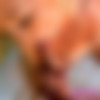 [CrazyCollegeGFs.com / GFLeaks.com] Ellie Ice - Tan Lines (08.08.2018) [All Sex, Blowjob, POV, 1080p] thumbnail