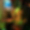 [PartyHardcore.com / Tainster.com] Party Hardcore Gone Crazy Vol. 20 Part 3 [720p/08.06.2015 ., Amateur, CFNM, Interracial, Lesbian Sex, Party Sex, Public Sex, Teen (18+), Hardcore] thumb