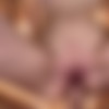 [POVDreams/LittleCaprice-Dreams] Brintey Dutch - POVDreams Brintey Dutch Anal Casting (2025-10-25) [1080p] thumbnail
