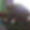 [2019 ., Amateur, Reality, Mature, Russian, 720p, CamRip] thumb