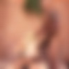 [Shemales-From-Hell.com]     82  - Shemales From Hell Pack 82 Clips [2014 ., Shemale, Hardcore, Fetish, Latin, Domination, Threesome, Deepthroat, Big Dick, Big Tits, Big Ass, HD 720p, SiteRip] thumbnail