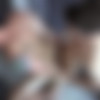 [SeanCody.com] SC-2157 Jess & Graham: Bareback [2016 ., Anal Sex, Bareback, Big Dick, Blowjob, Creampie (Internal cumshot), Cumshots, Facial, Fingering, Kissing, Masturbation, Muscles, Rimming, Tattoos., 720p] thumb