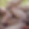 [DigitalPlayground.com] Kayla Kayden (Kayla Gets Wet / 26.10.15) [2015 ., All Sex, Gonzo, Blowjob, Deep Throat, Face Fuck, Spanking, Car, Outdoors, Cowgirl, Hardcore, 1080p] thumb