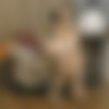 [Nubiles.net] Rihanna Black - Little Cutie [2024-03-19, Solo, Brunette, Barefoot, Upskirt, Shaved, Masturbation, Russian Girls, 2160p, SiteRip] thumbnail