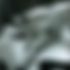 Eric Kroll - The Transformations of Gwen [Erotic, Fetish, Bondage, Hardcore] [2001, , PDF] thumbnail