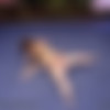 [dtwrestling.com] HOLLYWOOD OR BUST - Mia Walters vs. Hollywood Topless Catfight thumbnail
