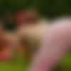 [MV-SweetieFox] Quadrobers - Who are they 2024 [2160p] thumbnail