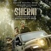 Sherni 2021 1080p WebRip x265 10Bit AC3 5 1-JATT thumb