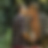 [OutDoors.Staxus.com/Staxus.com] Bareback Fun With Dick And Jason (Dick Casey, Jason Mike) [2013 ., Anal Sex, Bareback, Blowjob, Cumshot, Facial, Kissing, Masturbation, Muscles, Outdoors, Rimming, Tattoos, Twink, Uncut., 720p] thumb