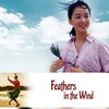 Feathers in the Wind [2005] / SD / DVD / H264 / AC3 / Korean / Subs / MKV / NOGROUP thumb