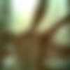[2011 ., Homemade, Anal Sex, CamRip] thumb
