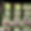 [PeeHunters.com]   (101 ) [2009-2014 ., Teens, Pissing] thumbnail