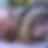 [BigTitsRoundAsses.com / BangBros.com] Brooke Wylde ( 36 Double D Natural Tits / btra13658 / 11.12.14) [2014 ., Amateur, Big Ass, Bignatural Tits, Blowjob, Brunette, Cumshot, Facial, Handjob, Hardcore, Natural Tits, Pornstar, Tittyfuck, White, 1080p thumb