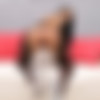 Maddy Black / Maddi Black (77 ) Pack [2021-2025, Anal, Big Tits, Creampie, DAP, DPP, DP, Facial, Gangbang, MILF, Pissing, Swallow, Squirt, TAP] thumb