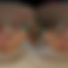 [VRHush.com] Chloe Rose (Kissed By A Rose) [2025 ., Hardcore, All Sex, 180°, 8k, 3840p] [Oculus Rift / Vive] thumb