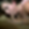 [PrivateSociety.com] Paisley, Vanessa, Honey Butter, Carly, Melissa (Minneapolis member party / 02.11.2022) [Amateur, Group Sex, Facial, Cumshots, IR, Blowjob, Doggystyle, Hardcore, 1080p, HDRip] thumb