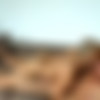 [DominicFord.com] (432) - Flip Fuck: Gavin Waters and Franco Ferrari in New York City [2012 ., Anal Sex, Blowjob, Cumshots, Flip-Flop, Hunks, Muscles, Interracial, Kissing, Rimming, Romance, Tattoos., 1080p] thumb
