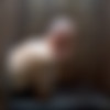 [CzechGayFantasy.com / CzechGAV.com] Czech Gay Fantasy 2 Part 1-10 [2016 ., Bareback, Group, Anal, Oral, Rimming, Gloryhole, Blowjob, 720p] thumbnail