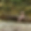 [TheLifeErotic.com] 2015-10-27 Nicolette A (Natures Wonders 2) [2015 ., Solo, Masturbation, 1080p] thumb