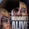 Mummies Alive 2015 S01E04 The Pharaohs Secret 720p WEB h264-CAFFEiNE thumb