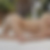 [WowPorn.com / WowFandom.com] Vanda Lust ( On A Wave Of Emotions / 18.01.15) [2015 ., all sex, 1080p] thumb