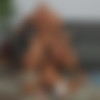 [SeanCody.com] SC-2645 Frankie & Chris: Bareback [2019 ., Anal Sex, Bareback, Big Dicks, Blowjob, Cumshots, Facial, Hairy, Interracial, Kissing, Masturbation, Muscles, Rimming, Uncut., 720p] thumb
