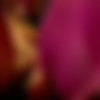 Playboy Stripsearch Seattle / Playboy:   ,  (Eric Mittleman, Playboy) [1997 ., Documentary & Reality SHOW, TVRip] thumb