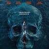 Row [2025] / H264 / MKV / WEB / 1080p / AC3 / BobDobbs thumb